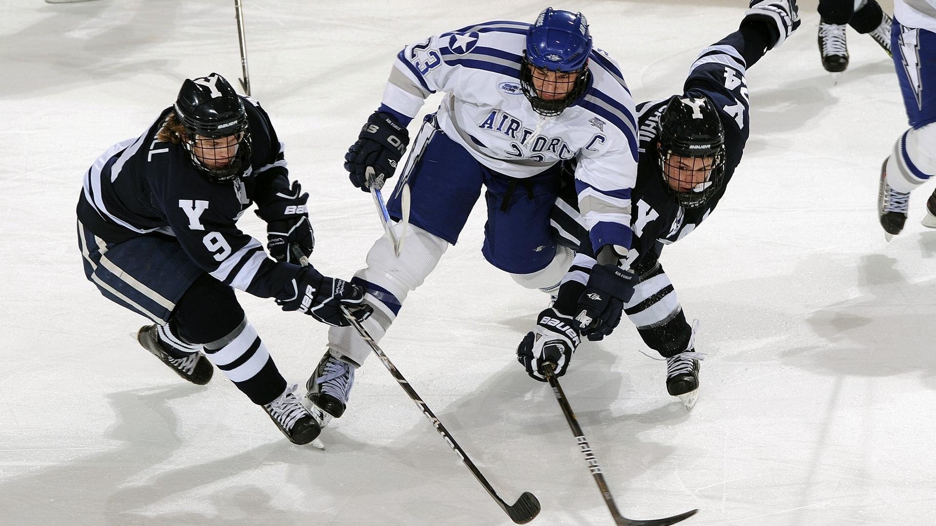 2026年亚洲职业拳王争霸赛 轻量级统一战在澳门落幕